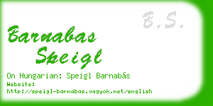 barnabas speigl business card