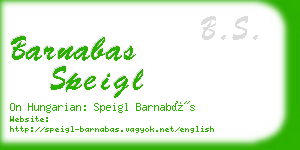 barnabas speigl business card